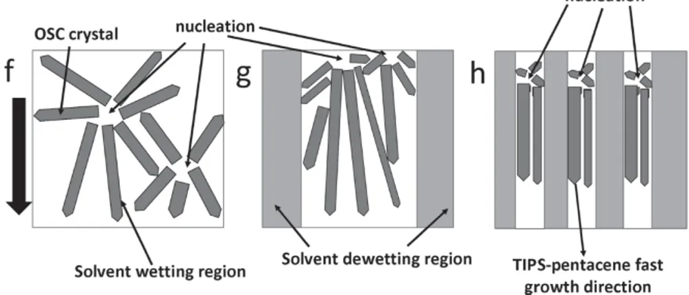 Figure 1.10: Diagram of the wetting/dewetting pattern. (f) shows how crystal growth is imagined: from a nucleation site, the crystal grows in the pointed direction