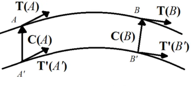 Figura 1.5: Il vettore di connessione C connette punti sulle geodetiche parametrizzati dallo stesso numero reale