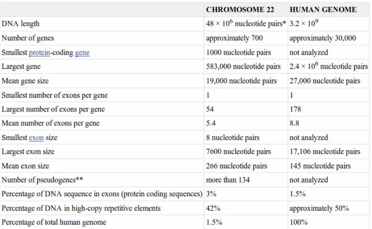 Figura 1.4: Statistiche fondamentali del cromosoma umano 22 e dell'intero genoma umano.