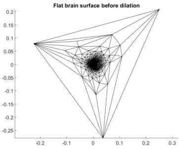 Figure 4.4: Flattened left hemisphere before dilation