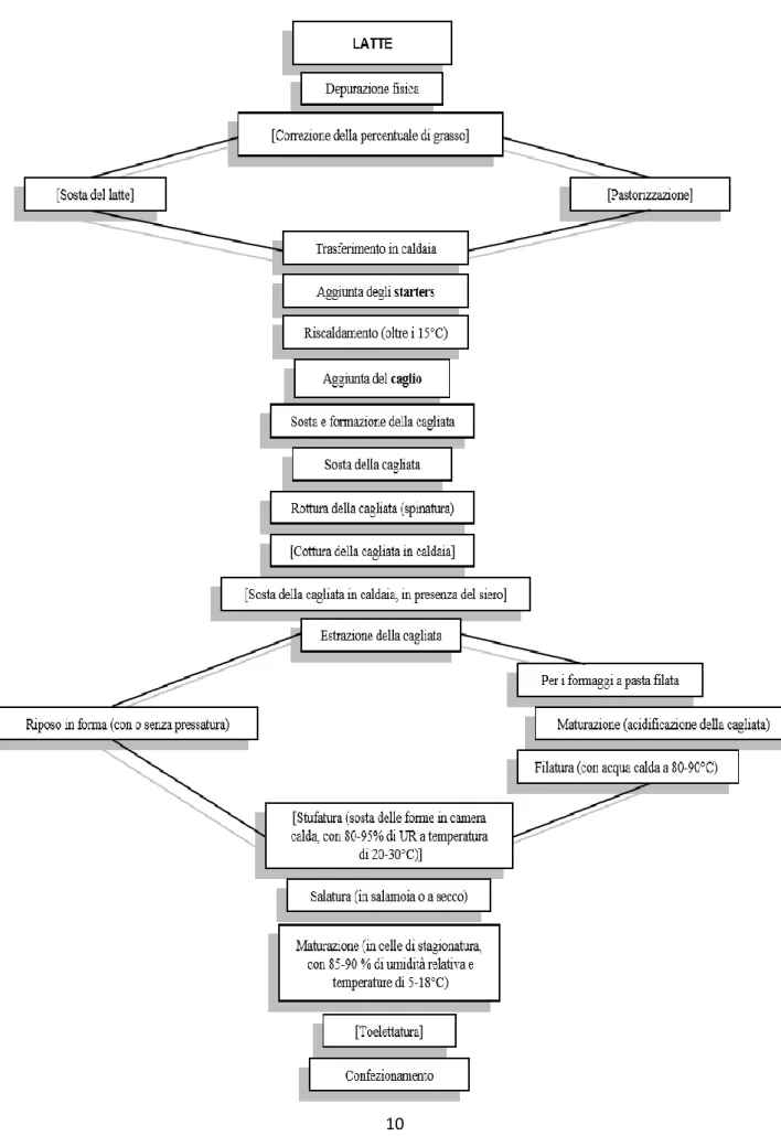 Fig.  1.1  :  Diagramma  di  flusso  della  produzione  del  formaggio  (tra  le  parentesi  quadre  sono  indicate  le  operazioni che sono eseguite solo in alcune produzioni)