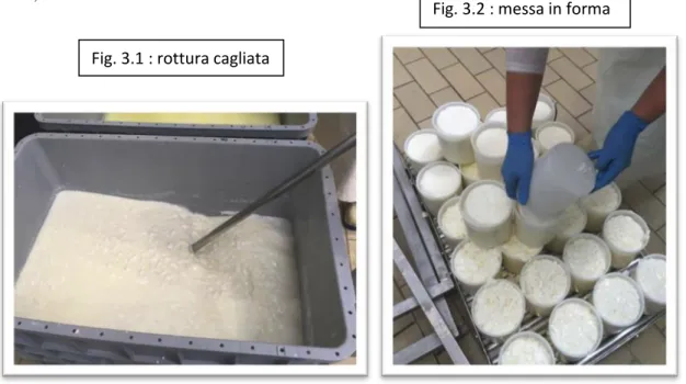 Fig. 3.2 : messa in forma 