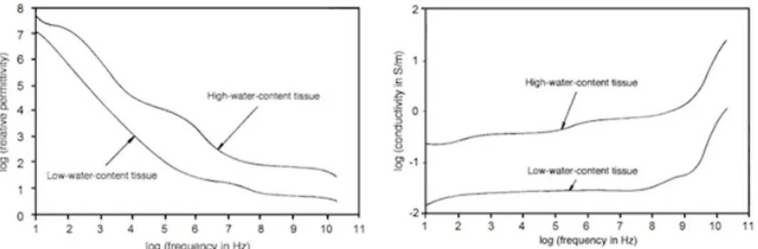 Figure 2.3: Comparison of permittivity and conductivity of high-water-content tissue with low-water-content tissue as a function of frequency [21, 22, 23, 24].