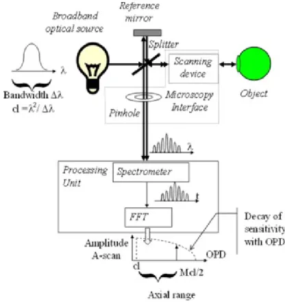 Figura 14.  Schema di uno SD-OCT. 