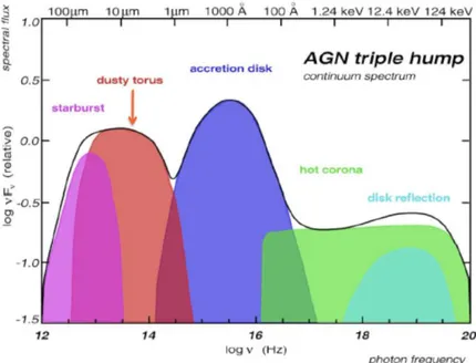 Figura 1.3: Lo spettro completo di un tipico AGN, dal corso di Alte energie, Prof. Vignali, Dipartimento di Fisica e Astronomia, Bologna