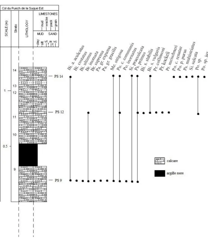 Fig. 8: Colonna stratigrafica della parte campionata della sezione di Col du Puech de la Suque Est,  con  distribuzione  delle  specie  e  sottospecie  di  conodonti  rinvenuti