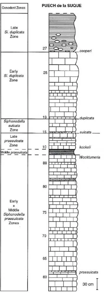 Fig. 3 Colonna stratigrafica rappresentante parte della sezione di Col du Puech de la Suque Est, in  particolare, la parte superiore della Formazione dei Calcari a Griottes incluso il livello di argilliti  nere (da Girard, 1994)