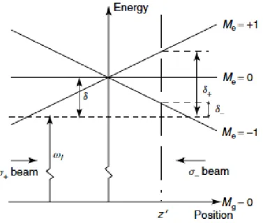 Figura 1.1: Schema del funzionamento di una trappola magneto-ottica in una dimensione