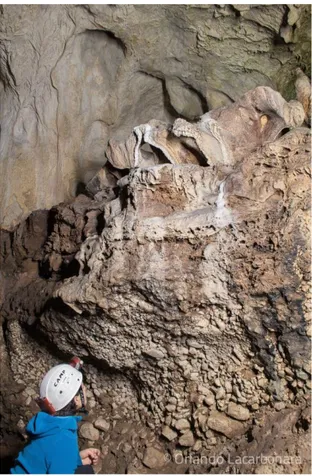 Figura 25 - Concrezioni che sormontano antichi depositi fluviali, nel ramo principale della Grotta di Pertosa-Auletta, ormai  fossile (foto di O