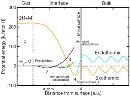 Figura 3.1: Curva di potenziale unidimensionale semplificata che descrive il processo di assorbimento di idrogeno in un metallo.