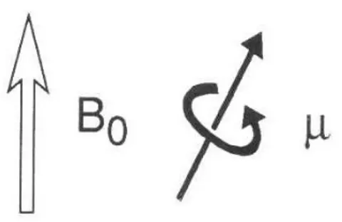 Figura 1.2: orientazione di un nucleo dotato di momento magnetico in un campo magnetico esterno B0 