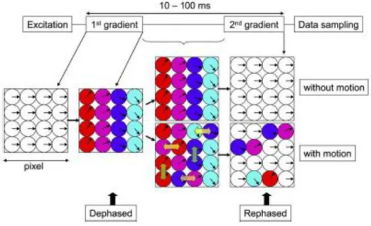 Figura 1.4: schema semplificatico della sequenza Stejskal Tanner: effetti sugli spin 