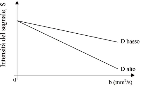 Figura 1.5: Relazione tra applicazione die gradienti, perdita di segnale e coefficiente di diffusione