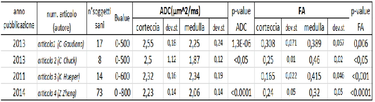 Tabella 3.3.1: risultati ADC e FA di corteccia e medulla die soggetti sani 