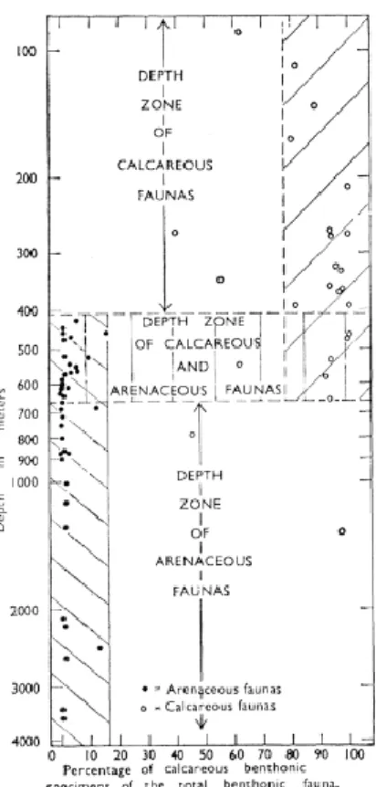 Figura 3.4. Distribuzione dei Foraminiferi calcarei e arenacei lungo la colonna d'acqua nel Mare di Ross (Courtesy of Kennet, 1966)