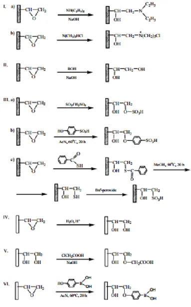 Figure 7. Examples of chemical conversion of epoxy groups [43]. 