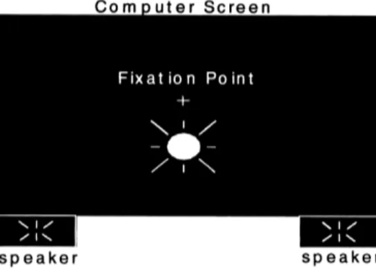 Fig. 1. Un disco bianco uniforme è disposto su uno  sfondo nero, leggermente al di sotto del punto di  fissazione, che è posto al centro dello schermo