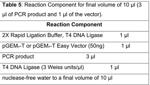 Table 4: final concentration of PCR reaction components in  a final volume of 50 µl (45 µl of PCR reaction components  and 5 µl of DNA sample)