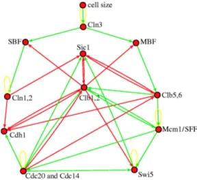 Figura 1.3: Un esempio di rete booleana esposta in un articolo di S. Bornholdt [3].