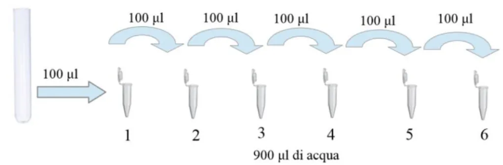 Figura 5.1: Schema delle diluizioni 1 : 10 a partire dalla soluzione madre con concentrazione 10 8 CFU/ml