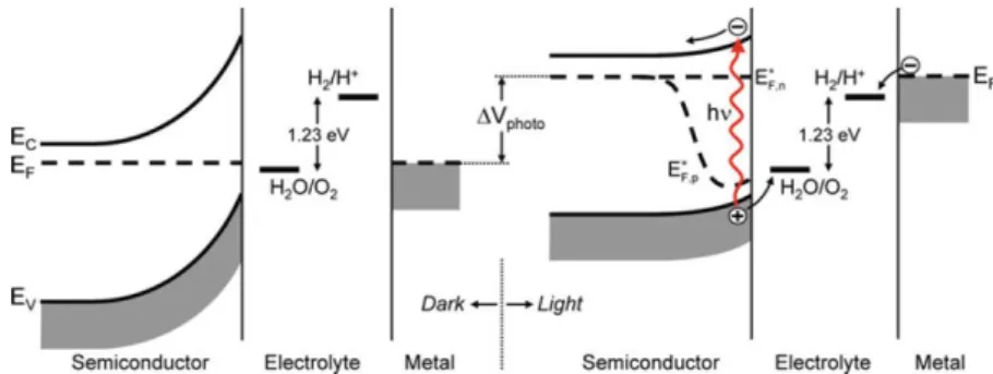 Figura 3.4: diagramma a bande di una cella fotoelettrochimica di tipo n al buio  (a sinistra) e in condizioni di illuminazione (a destra) [1]