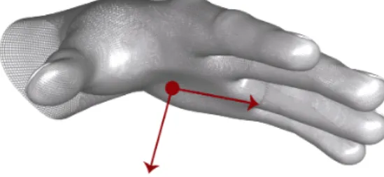 Figura 2.7: Vettori normale e direzione di una mano