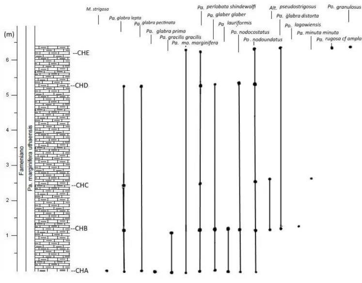 Fig. 4.2 Colonna stratigrafica della sezione di Concours le Haut con distribuzione verticale delle specie di  conodonti identificate nei campioni analizzati