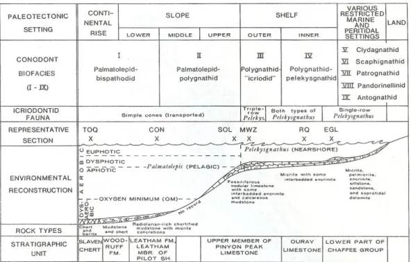 Fig  4.5  Modello  delle  biofacies  a  conodonti  del  Devoniano  Superiore  elaborata  in  base  a  dati  delle  seguenti  aree:  TOQ,  East  Northumberland  Canyon,  Touquima  Range,  Nevada;  CON,  Little-and-a-Half  Canyon,  Confusion  Range,  Utah;  