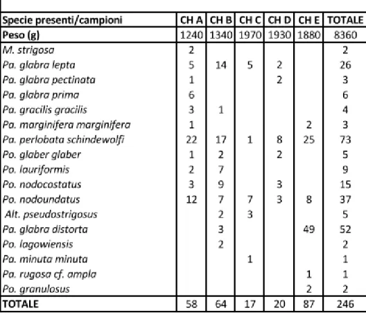 Fig.  4.1  Distribuzione  numerica  degli  elementi  conodonti  attribuiti  alle  specie  e  sottospecie  identificate  nei campioni della sezione Concours le Haut