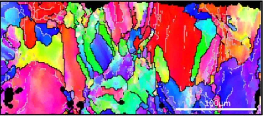 Figura 14-mappa EBSD dell’orientamento dei grani di un campione di 316L processato  con laser melting [63]