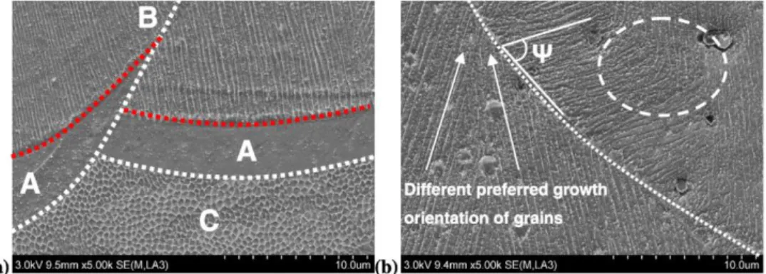 Figura 15 - immagini SEM che mostrano la microstruttura tipica dei componenti SLM- SLM-316L; in (a)  si distinguono i bordi dei  melt pool (linee tratteggiate bianche) tra due  strati adiacenti, in (b) il bordo del melt pool che delimita due tracce adiacen