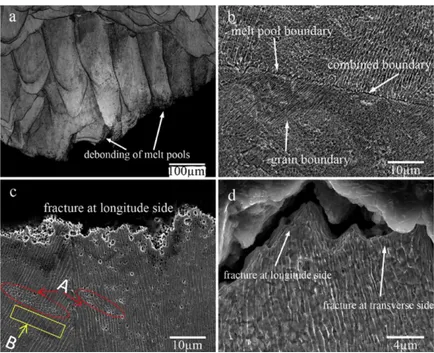 Figura 35 - viste laterali delle superfici di frattura delle prove a trazione: (a) decoesione  dei melt pool; (b) rete cellulare che collega i bordi dei grani e quelli dei melt pool; (c)  frattura lungo i bordi delle celle; (d) ingrandimento della zona A i