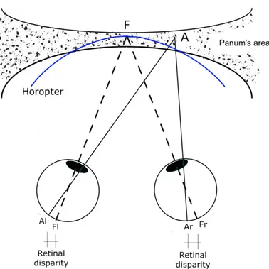 Figure 1.2: Principle of binocular vision.