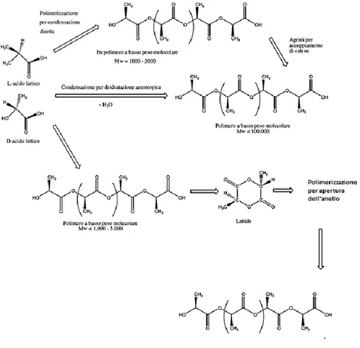 Figura 5. Processi di produzione del PLA  