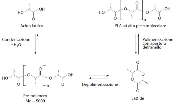 Figura 10. Sintesi dei polimeri derivati dall’acido lattico mediante apertura dell’anello