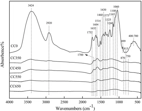 Figura 19. Spettro FTIR di biomassa vegetale a confronto con spettri FTIR di biochar ottenuti a diverse  temperature di pirolisi; CC0: biomassa, CC350 biochar ottenuto a 350°C, CC450 biochar ottenuto a 