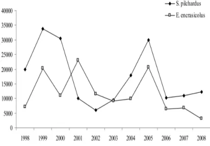 Figura 8: Stime idroacustiche di biomassa della popolazione di acciuga e sardina al largo  della costa meridionale siciliana (GSA 16) dal 1998 al 2008 (Fonte CNR-IAMC  di Capo Granitola) 