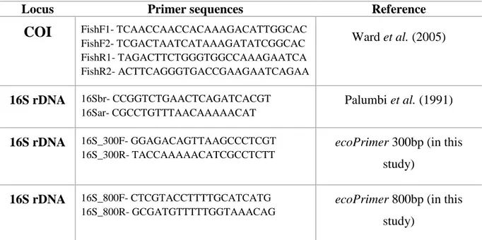 Table 1: Pairs of primers used for the PCR in silico.  