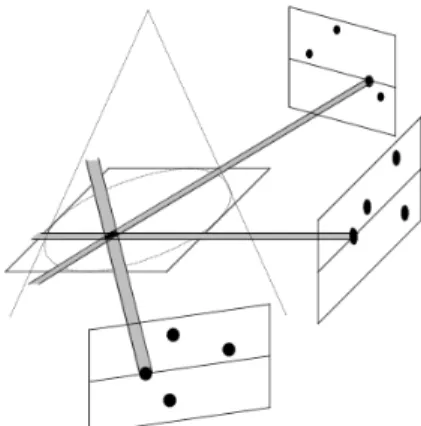 Figura 2.5: Esempio di tomografia utilizzata per l’identificazione di particelle tramite ricostruzioni multiple [5].