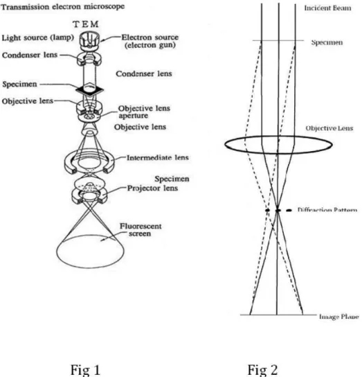 Figura 3.3: [15] Layout generale di un TEM, che descrive il cammino del fascio elettronico.