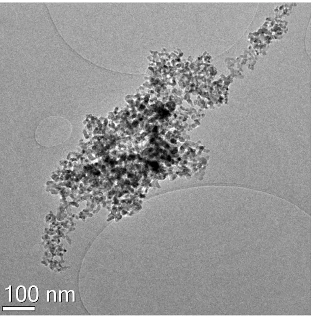 Figura 3.18: Stesso agglomerato ad ingrandimento minore. E’ possibile notare le spaziature della griglia portacampioni.