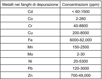 Tabella 2.2: contenuto di metalli pesanti nei fanghi di depurazione (ppm), (Ashraf et al., 2014)