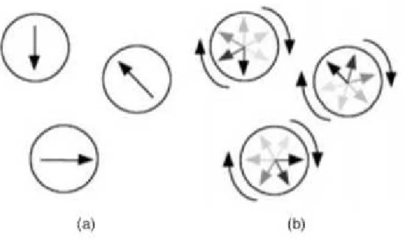 Figura  2.6:  Osservazione  di  superparamagnetismo:  i  cerchi  rappresentano  le  nanoparticelle magnetiche e le frecce al loro interno rappresentano la direzione  della loro magnetizzazione