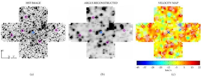 Figura 2.3: In figura abbiamo come esempio le mappe utilizzate da Lutzegendorf et al (2012) nel caso di NGC 2808 per la correzione dello shot noise