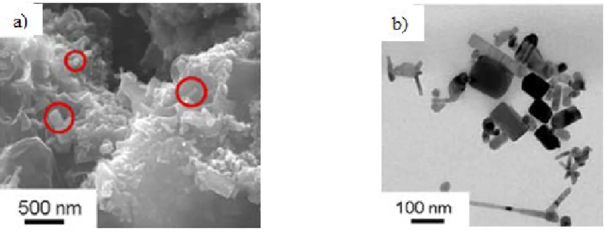 Figure 1.3. a) SEM image and b) TEM image of ZnO nanoparticles in sunscreens 18 . 