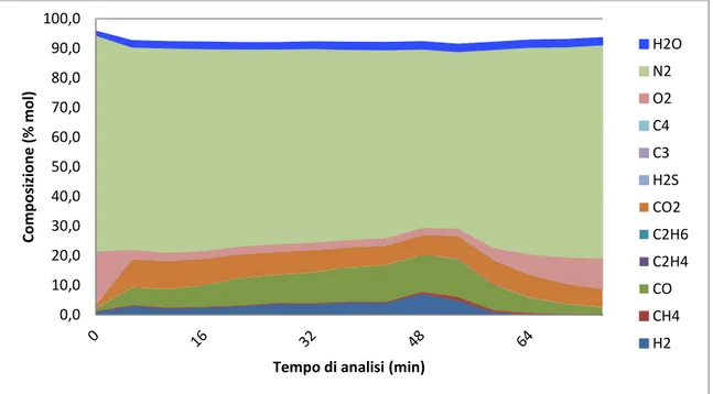 Figura 45: composizione del gas analizzato online durante la Prova 2. 0,010,020,030,040,050,060,070,080,090,0100,0Composizione (% mol)