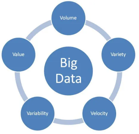 Figura 1.1  – le 5V di Big Data 