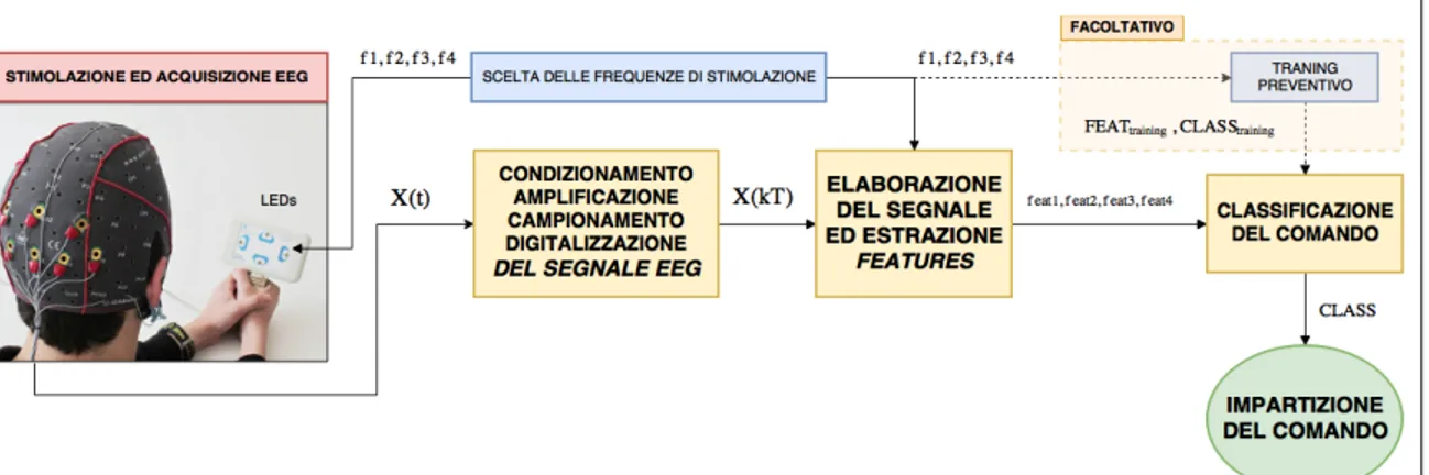 Figura 7: Schema riassuntivo del funzionamento di una BCI SSVEP based. L'esempio  illustra un'interfaccia con 4 stimoli luminosi.