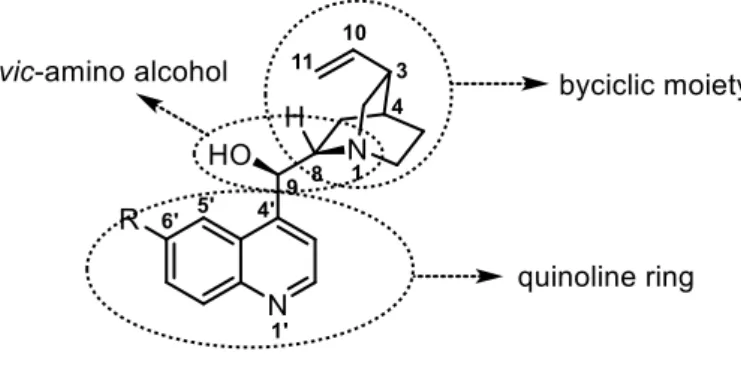Figure 1.3 - Cinchona alkaloids structure. 