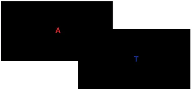 Figura 3.1: Schermata tipo della fase di test: a destra stimolo distrattore, a sinistra stimolo target 